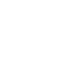 Velvett Studio